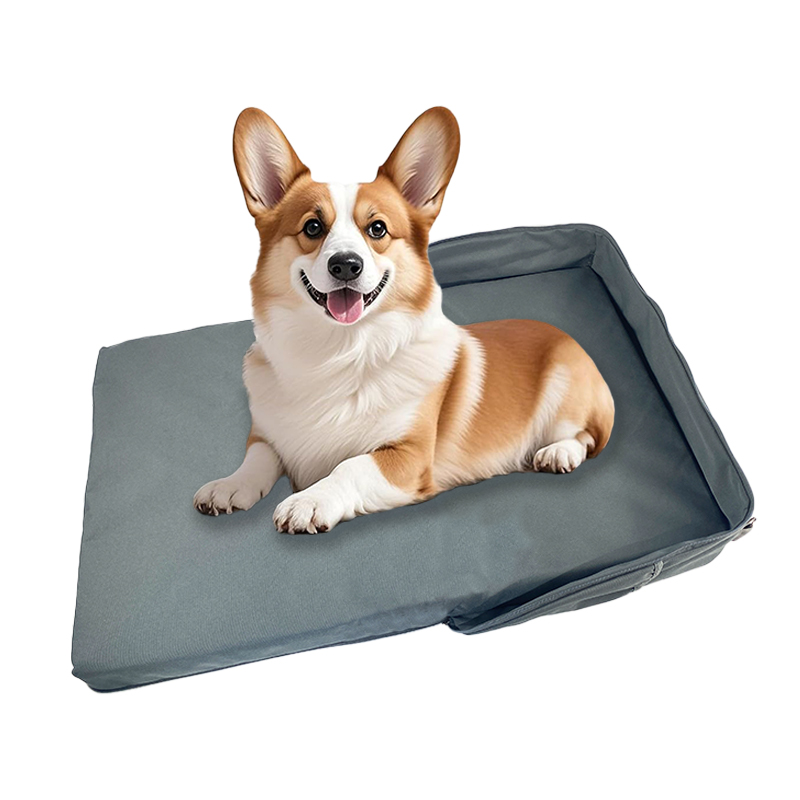 bed with pet