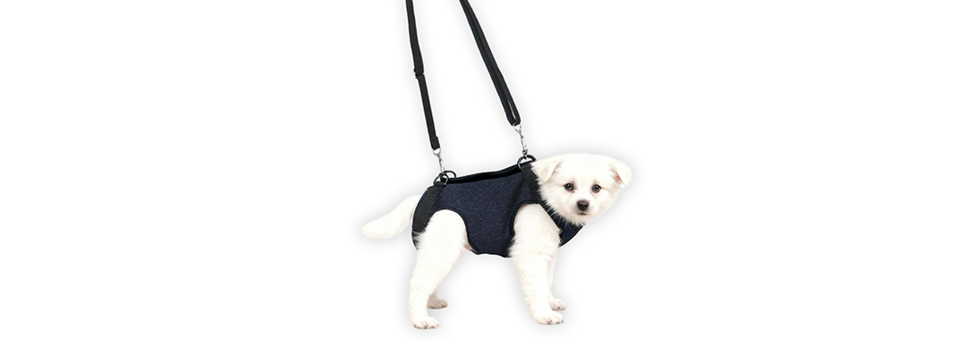Full Body Support Harness