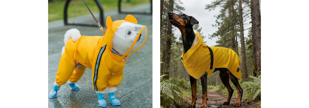 Outdoor Raincoat